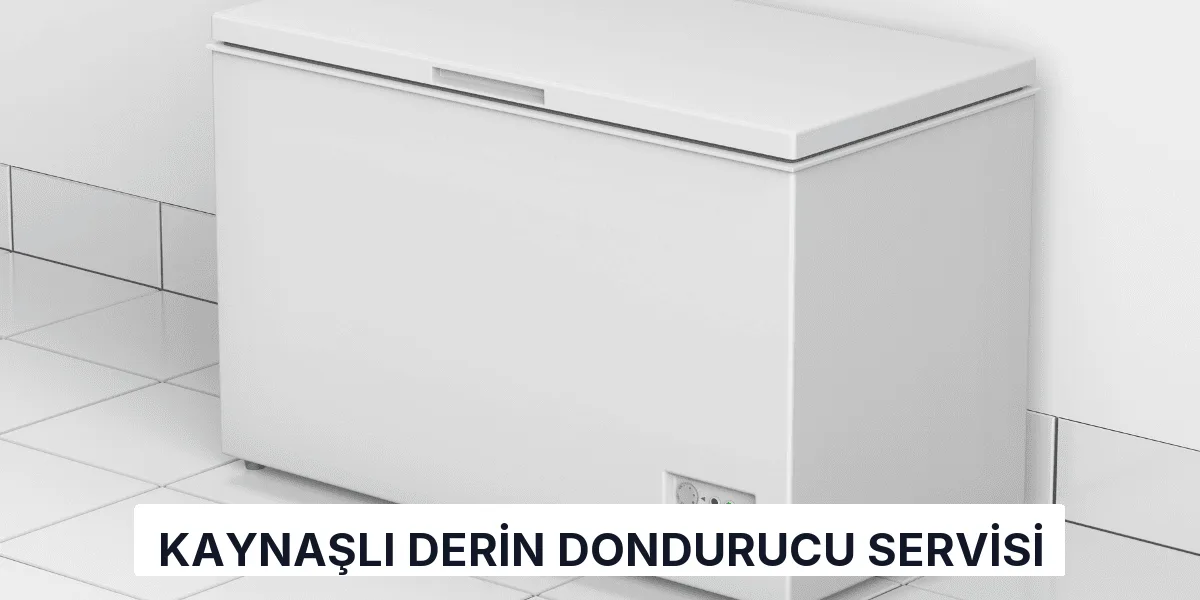 Kaynaşlı Derin Dondurucu Servisi