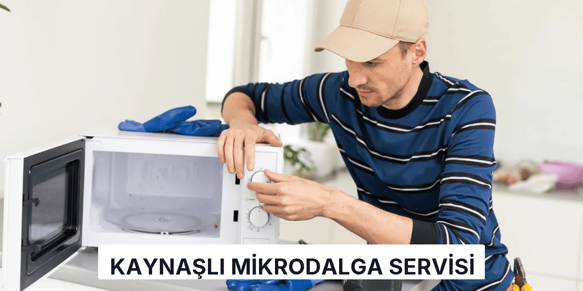 Kaynaşlı Mikrodalga Servisi